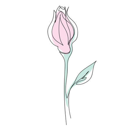 Vector PINK rose drawing of one continuous line. Color illustration of flowers in the style of line artのイラスト素材