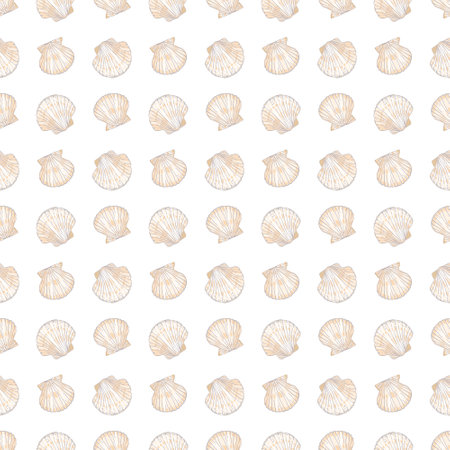 Seamless vector pattern with hand drawn sea shells. white background.の写真素材