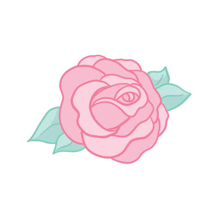 pink rose. Isolated bouquet garden flower on white background. Decoration for packaging products for beauty and health, cosmetics, flower shops and markets. vintage vector illustration artのイラスト素材