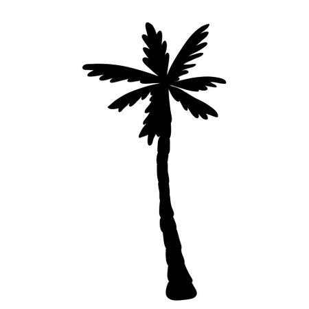 palm trees isolated on white background. Black silhouettes of trees in the wind. Tropical landscape element design. Monochrome simple plants vector flat illustration.のイラスト素材