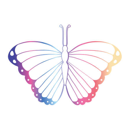 Abstract multicolored butterfly on a white background. vector illustrationのイラスト素材