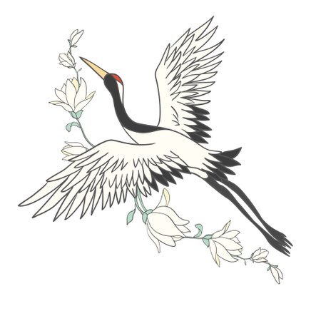 Japanese crane bird isolate on a white background. vector graphics.のイラスト素材
