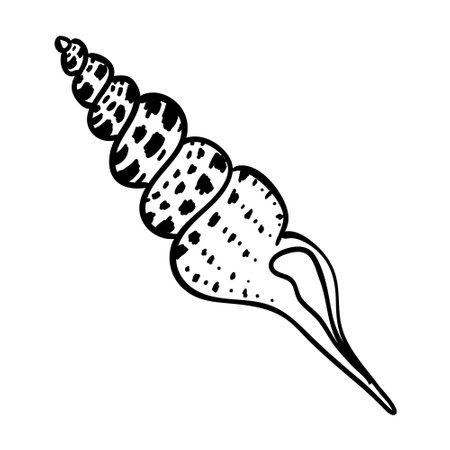 Vector Seashell. Hand drawn illustration of sea Shell on isolated background. Drawing of Scallop on outline style. Sketch of Cockleshell painted by black ink. Underwater line artのイラスト素材