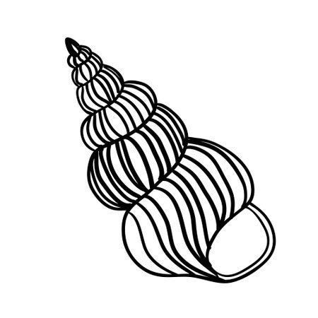 Vector Seashell. Hand drawn illustration of sea Shell on isolated background. Drawing of Scallop on outline style. Sketch of Cockleshell painted by black ink. Underwater line artのイラスト素材