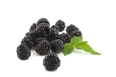 Blackberry with leaves isolated on white