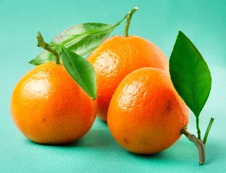 Tangerines with leaves isolated on green background.の写真素材