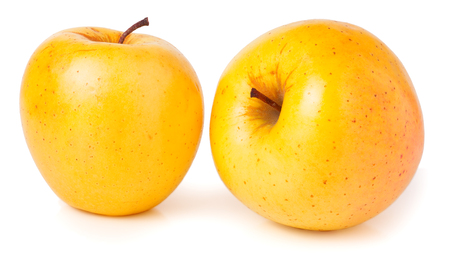 two yellow apples isolated on white.の写真素材