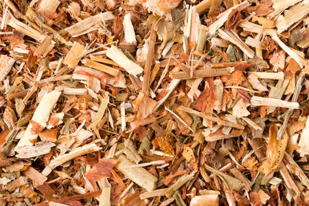 Hypericum dry as a background close-up macro.
