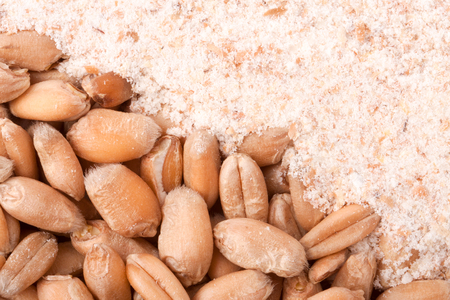 wheat flour with whole wheat background close upの写真素材