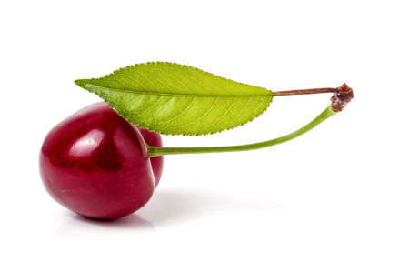 One cherry with leaf closeup isolated on white background.の写真素材