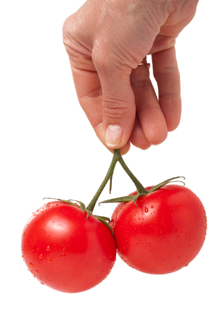 two red tomato in hand isolated on white backgroundの写真素材