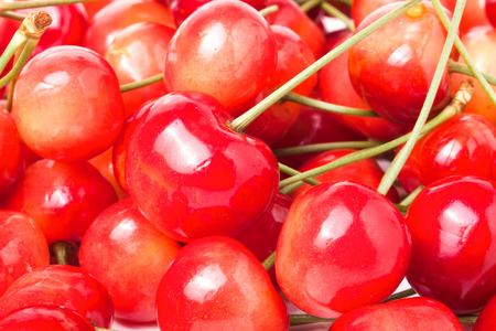 pink cherry as a background close up.