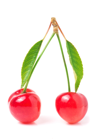 Two cherries with leaf closeup isolated on white background.の写真素材