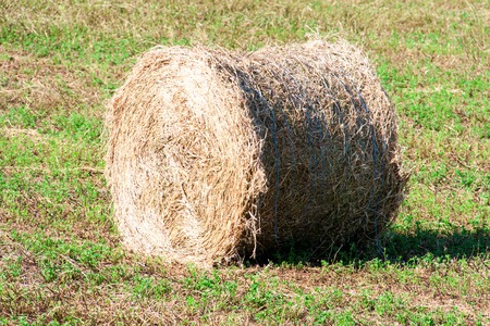 Summer Field with Hay Bale as background.
