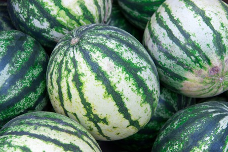 watermelon on the counter market as background.