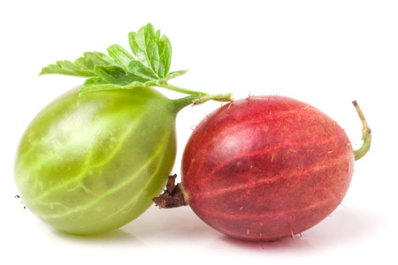 red and green gooseberries with leaves on a white background.の写真素材