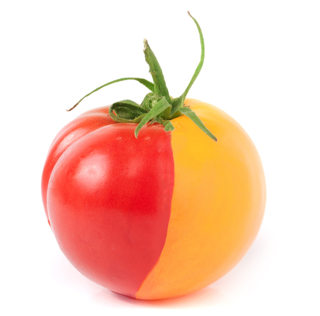 red yellow tomato isolated on white background.の写真素材