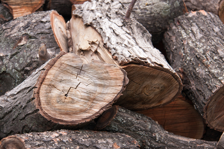 pile of firewood close-up on a cloudy day.