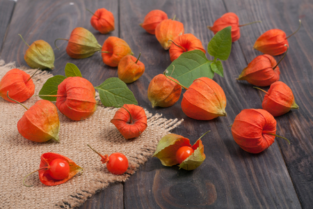 physalis scattered on a dark wooden table.の写真素材