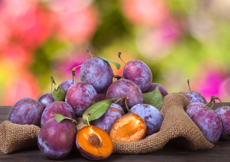 plums on the sackcloth with blurred background.の写真素材
