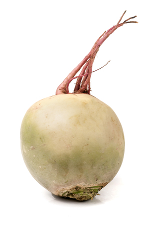 one watermelon radish isolated on white background.の写真素材