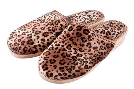 female domestic leopard slippers isolated on white backgroundの写真素材