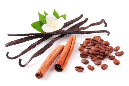 Vanilla sticks and cinnamon with coffee beans and flower isolated on white backgroundの写真素材
