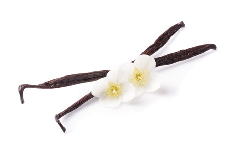 Vanilla sticks with flower isolated on white background.