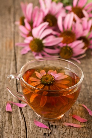 Cup of echinacea tea on old wooden table.の写真素材