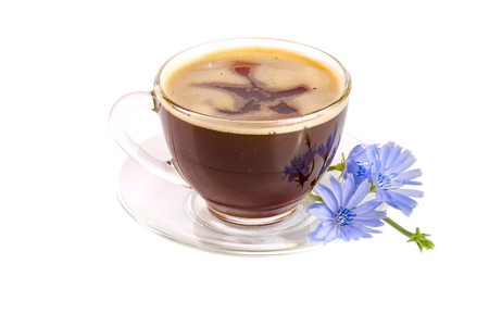 Chicory cup and chicory flower isolated on white backgroundの写真素材