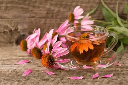 Cup of echinacea tea on old wooden tableの写真素材