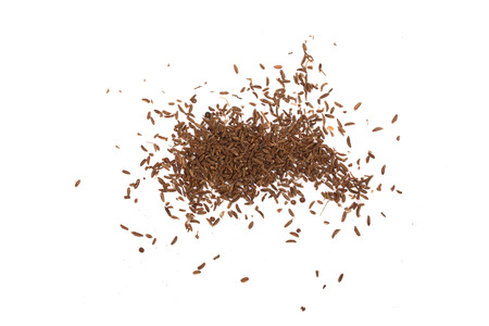 Cumin seeds or caraway isolated on white background,の写真素材