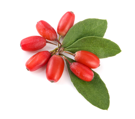 fresh barberry with leaves isolated on a white background. top viewの写真素材