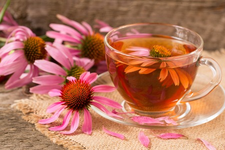 Cup of echinacea tea on old wooden table.の写真素材