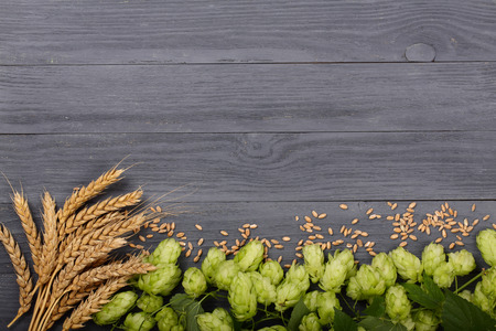 Fresh green hop cones with ears of wheat on black wooden background. Top view with copy space for your textの写真素材
