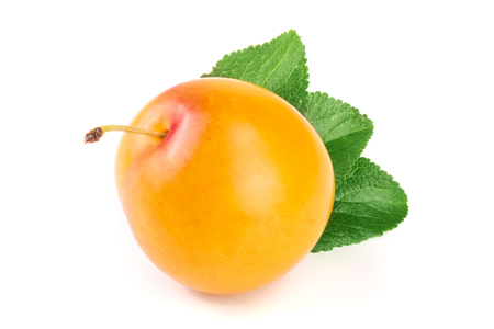 Yellow plum with leaves isolated on white background.の写真素材