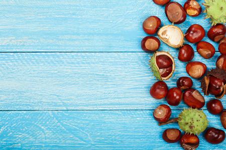chestnut on blue wooden background with copy space for your text. Top view.の写真素材