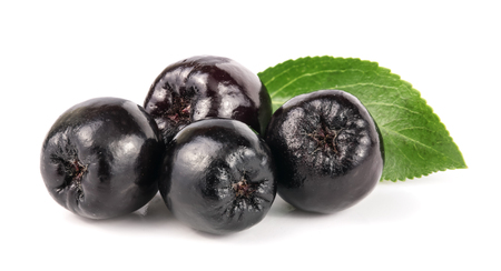 Chokeberry with leaf isolated on white background. Black aronia berriesの写真素材