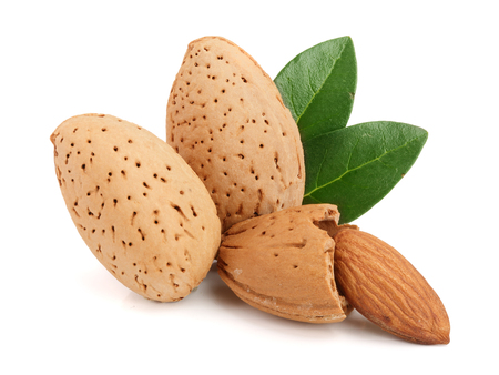 Group of almond nuts with leaves isolated on white backgroundの写真素材