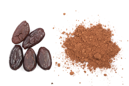 cocoa bean and cocoa powder isolated on white background top viewの写真素材