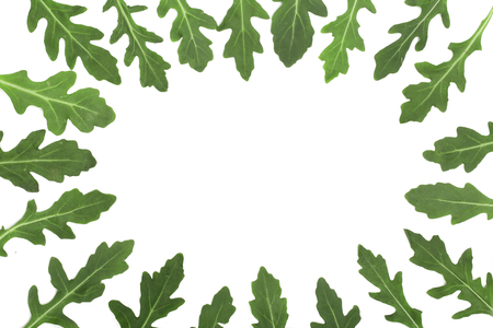 frame of green fresh rucola or arugula leaf isolated on white background with copy space for your text. . Top viewの写真素材