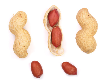 Peanuts. Nuts in shell and peeled isolated on white background. Collection or set. Full depth of...