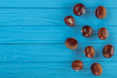 chestnut on blue wooden background with copy space for your text. Top view. Flat lay.の写真素材
