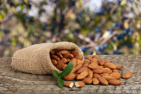 Almonds with leaf in bag from sacking on a wooden table with blurred garden background.の写真素材