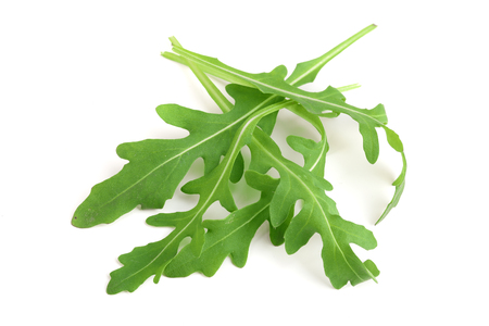 Green fresh rucola or arugula leaf isolated on white backgroundの写真素材