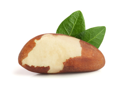 Brazil nuts with leaves isolated on white background closeup. Full depth of field.の写真素材