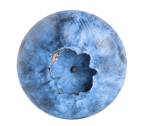 Single fresh blueberry isolated on white background.の写真素材