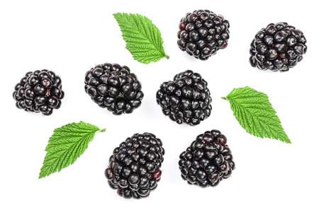 Fresh blackberry with leaves isolated on white background. Top view. Flat lay pattern.