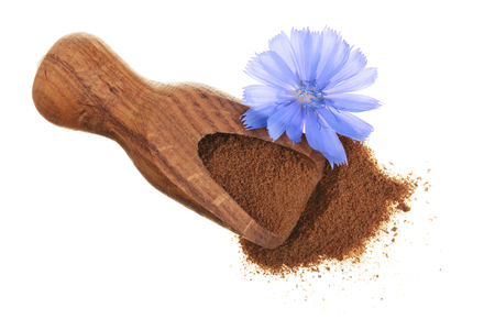 chicory flower and powder of instant chicory in wooden scoop isolated on a white background. Cichorium intybus.の写真素材