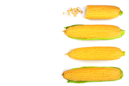 ear of corn isolated on a white background with copy space for your text. Top view. Set or collection.の写真素材